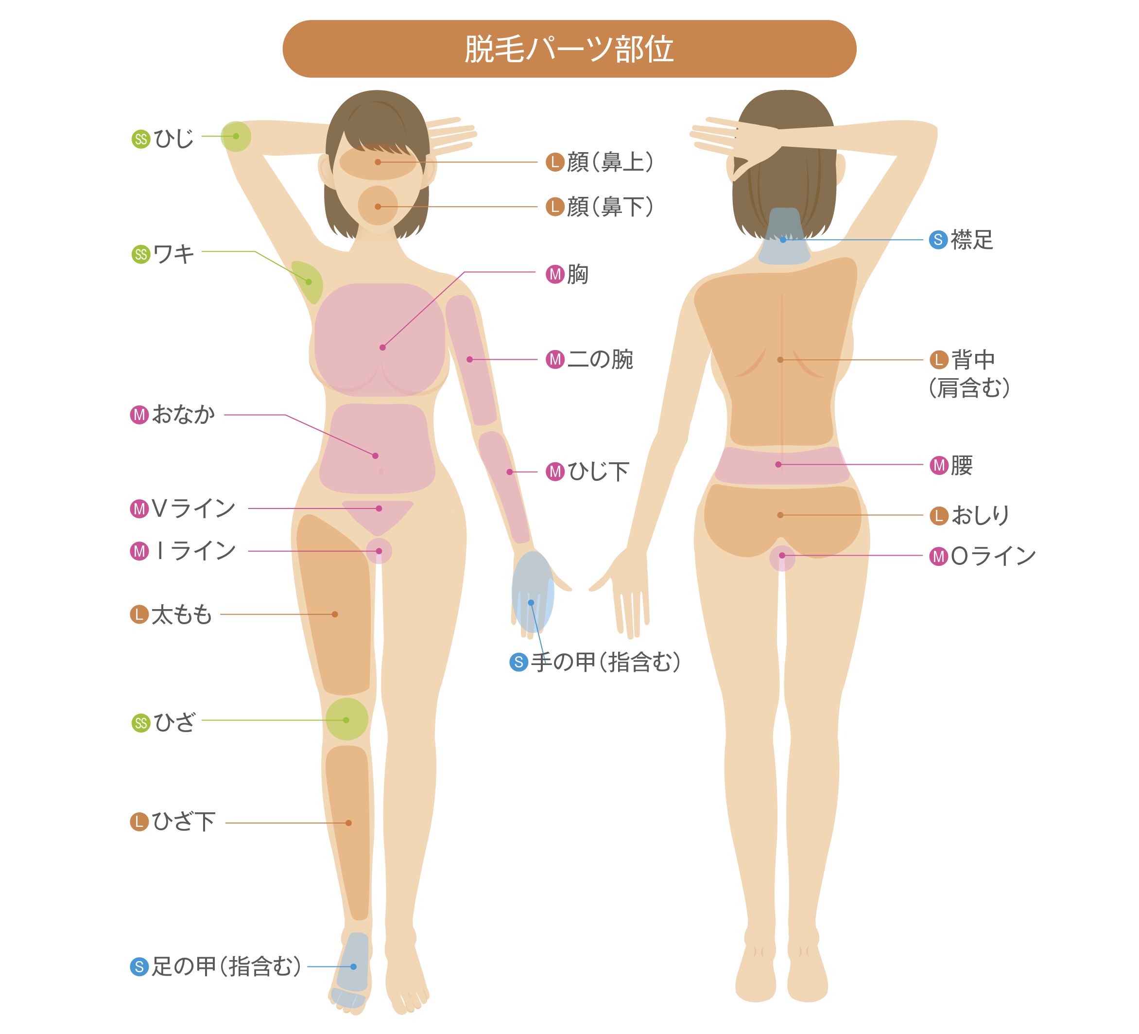 脱毛パーツ部位